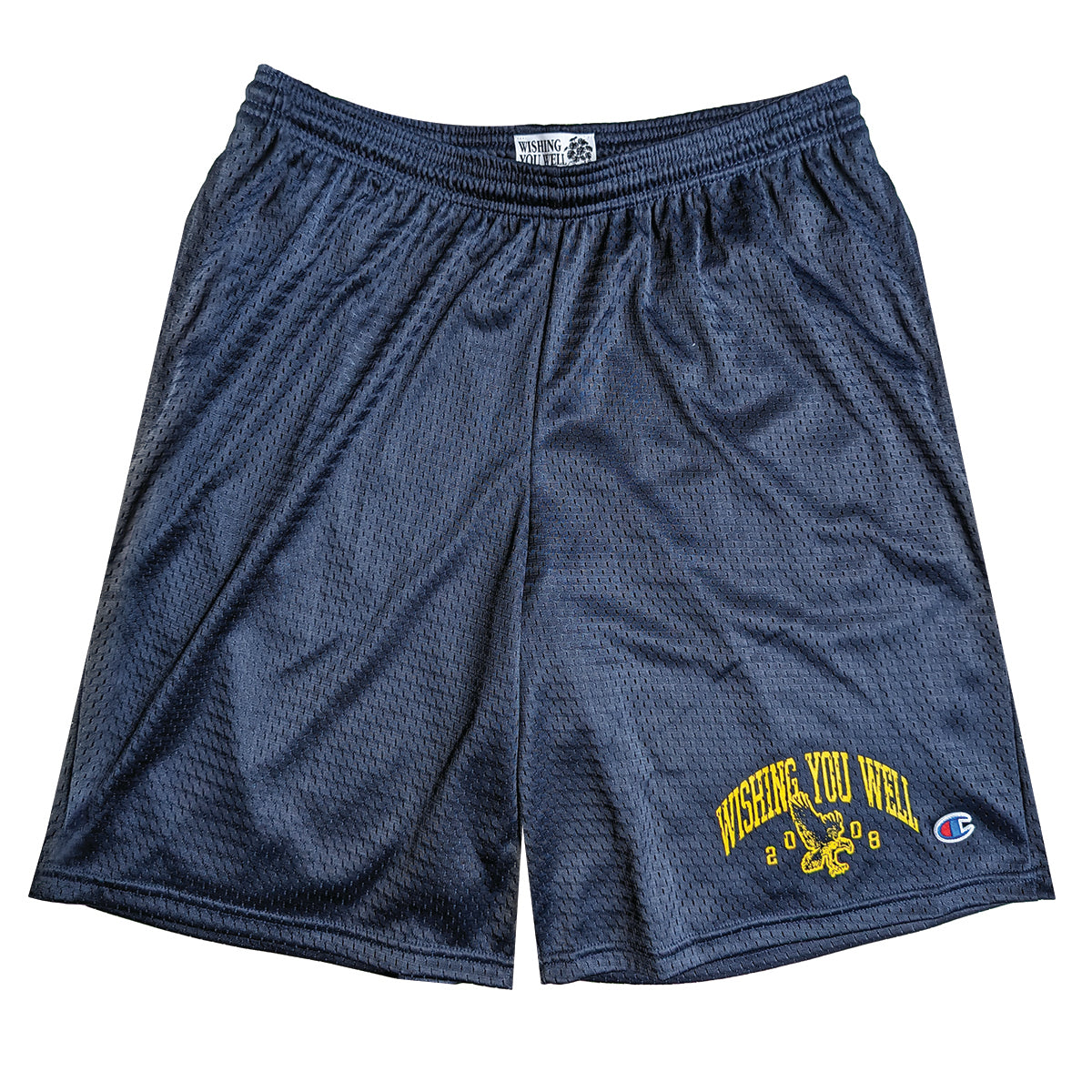 COLLEGIATE MESH GYM SHORTS (NAVY BLUE)