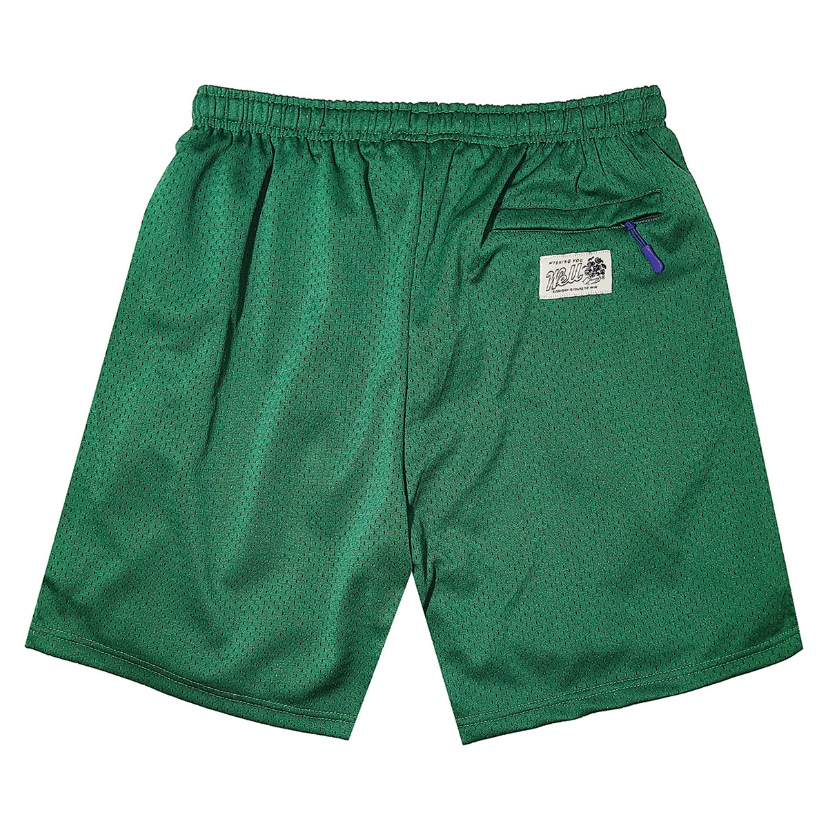 EVERYBODY LOVES THE SUNSHINE MESH SHORTS (GREEN)