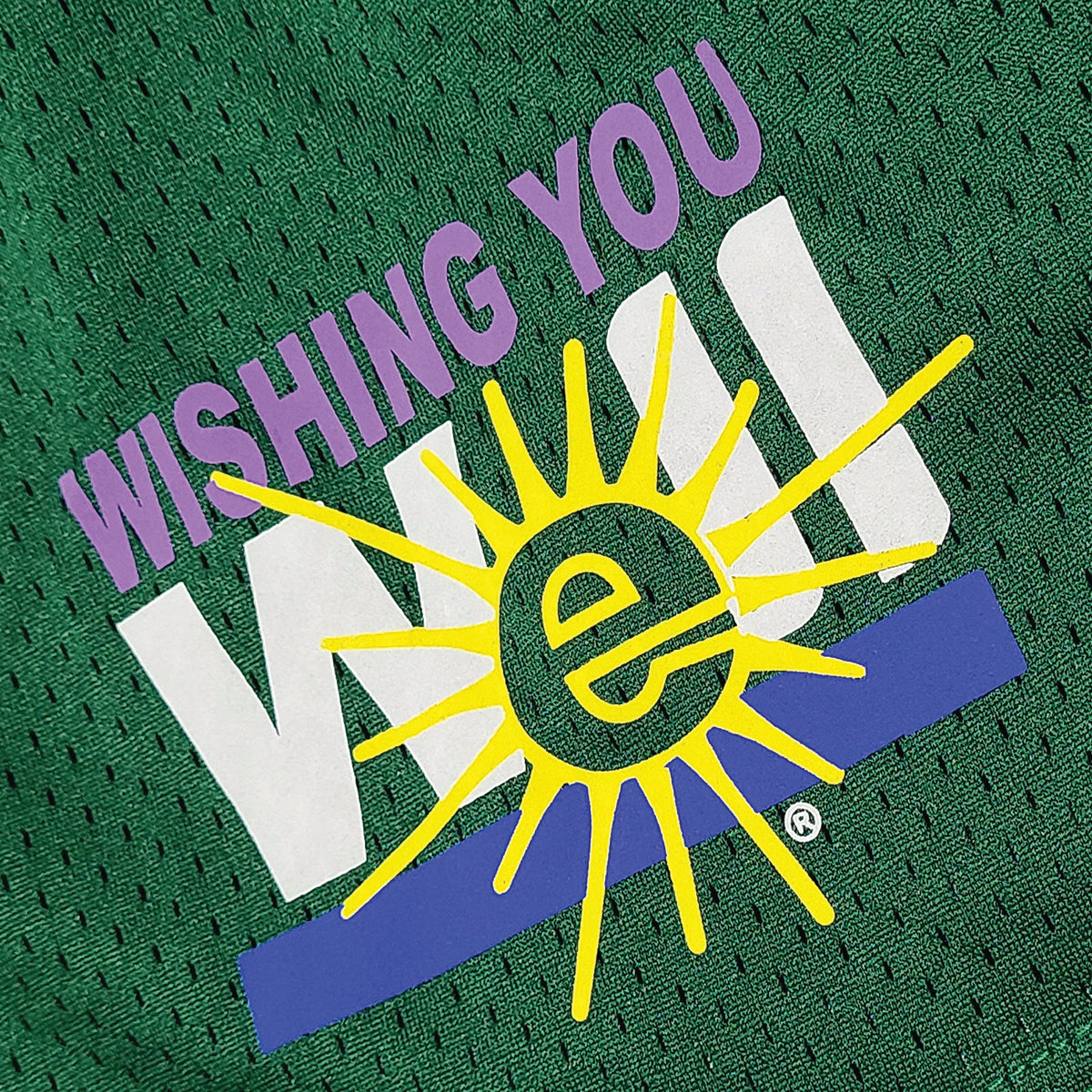 EVERYBODY LOVES THE SUNSHINE MESH SHORTS (GREEN)