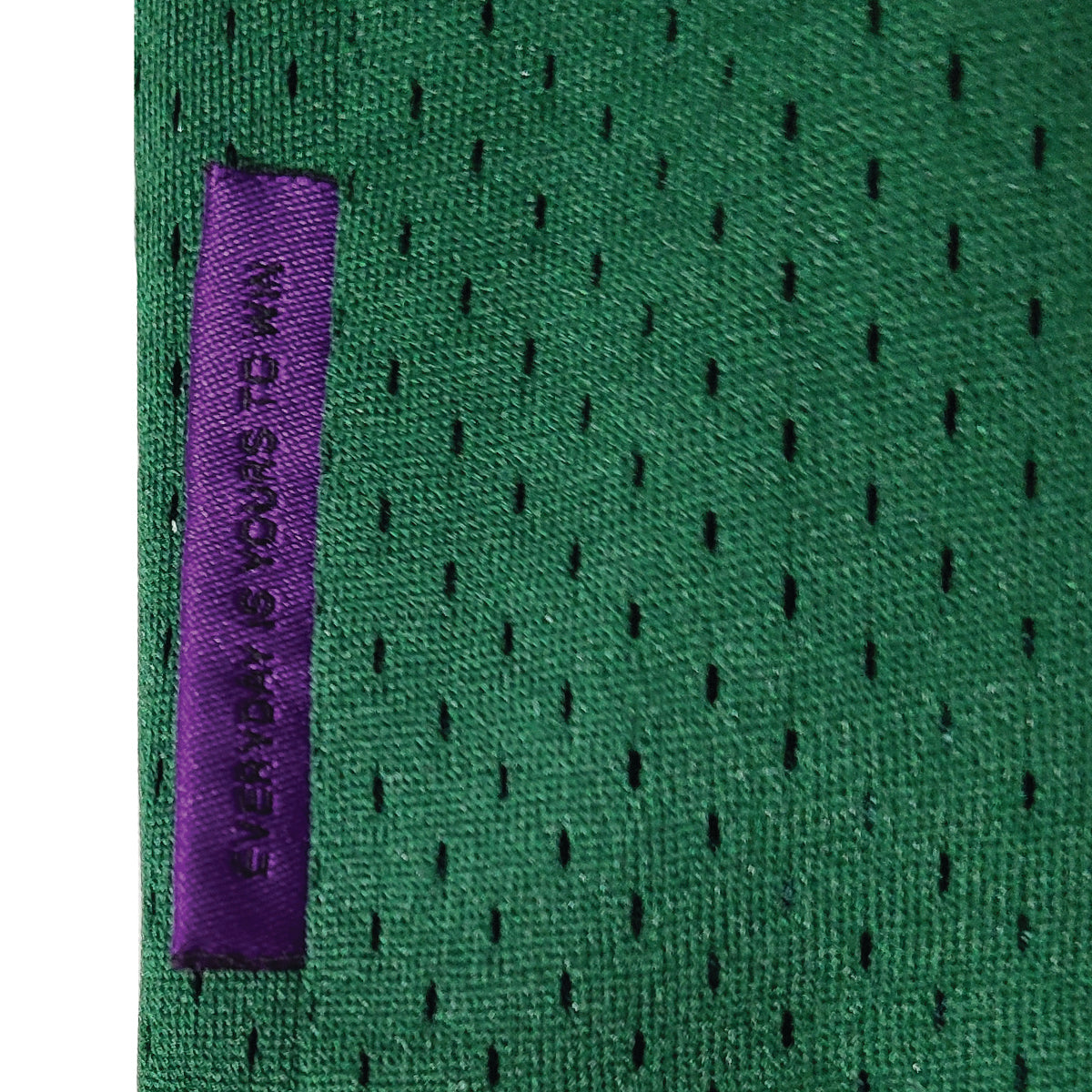 EVERYBODY LOVES THE SUNSHINE MESH SHORTS (GREEN)