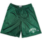 Collegiate Mesh Gym Shorts (Forest Green)