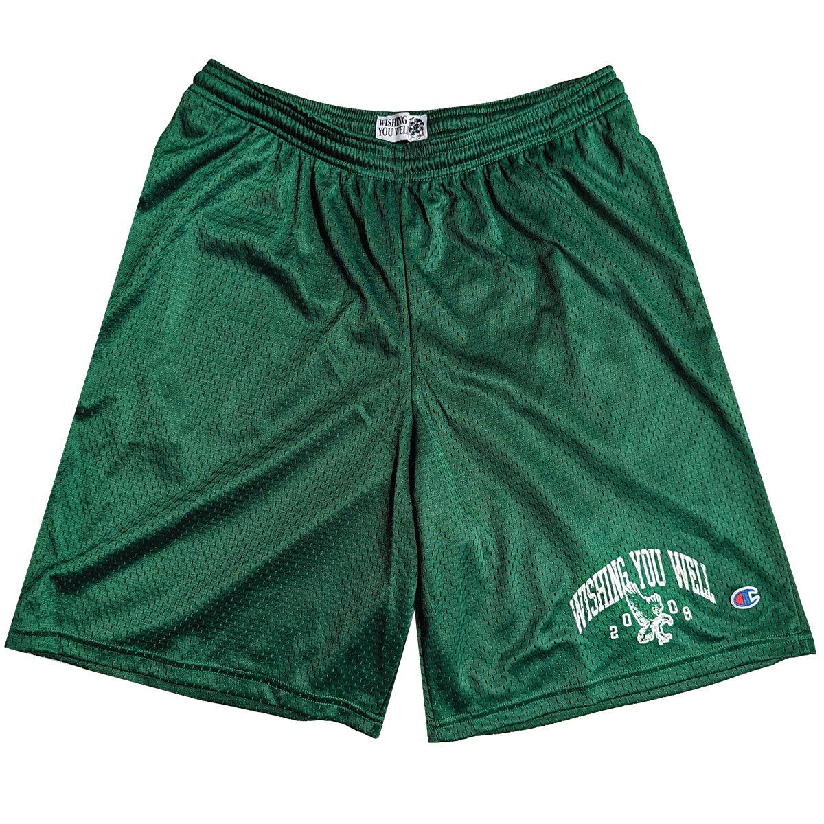 Collegiate Mesh Gym Shorts (Forest Green)